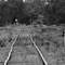 Bish Rd (zoom lens) looking up towards Saleyard Rd