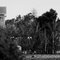 Black & White St Mary's Church & Splatt St Water Tower from Murrawee