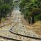 Up towards Swan Hill (Bish Rd Crossing in Distance)