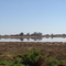 North Lake - Woorinen