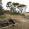Nurragi Rail Trail and Conservation Reserve