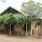 Lake Breeze winery, Langhorne Creek wine region, South Australia.
