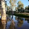 Reflections near "Cluden"
