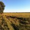 Buffel & Brigalow, March 2011