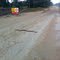 Black-headed python crossing the road