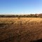 "Lillyvale"