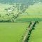 After 2010 flood