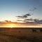 Sunset from "Windrush"