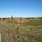 Rest Area in distance