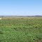 Airfield: southern end