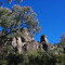 Clifford's trail