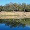 Victoria River  NT  , near Timber-Creek