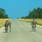 on Highway 1