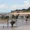 low tide at Jam Jerrup