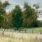 Yallock Creek Rest Area