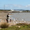 Westernport Bay from Tooradin