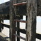 Rusty ladder