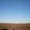 Cotton fields
