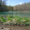 Hillman State Park