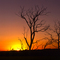 Sunset at Tenterfield