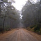 Climbing Mt McKenzie