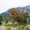 Tenterfield, NSW, Australia