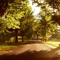 Back Street - Tenterfield, NSW