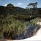 Moreton Island