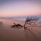 South eastern beach - Moreton Island