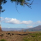 looking to the farmer