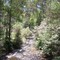 Stream at Cathederal Ranges (doesnt look like this anymore since the fires in Feb)