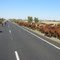 A bit of beef on your BBQ grill or on your TRUCK grill