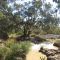 Waters down at the Bulloo