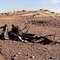 Granites goldmine 250488