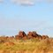 The Granites being one of the more notable items of interest on the Tanami Road