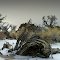 Desert  -16c