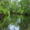 Morgan River