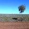 West of Quilpie