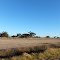 View into Paddocks along the Woods Well Road near TINTINARA, on 16-04-2012