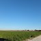 Heading into a Farm area from along the Woods Well Road, near the town of TINTINARA, on 16-04-2012