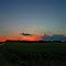 Sunset over soybeans