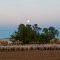 Outback Moonrise