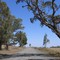 Dirt Road