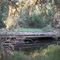 Bummaroo Ford - Wooden Bridge