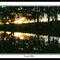 Barcoo River Tambo Qld