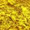 Tanami Desert Gold: Water is Gold in the Desert