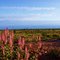tanami sunset