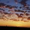Tanami desert sun set