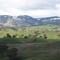Snow on the Honeysuckle Ranges