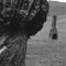 Gocup: chimney and tree